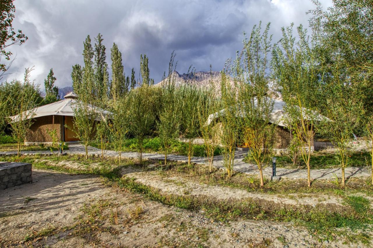 Chalet Seabuckthorn - Hunder Hundar ภายนอก รูปภาพ